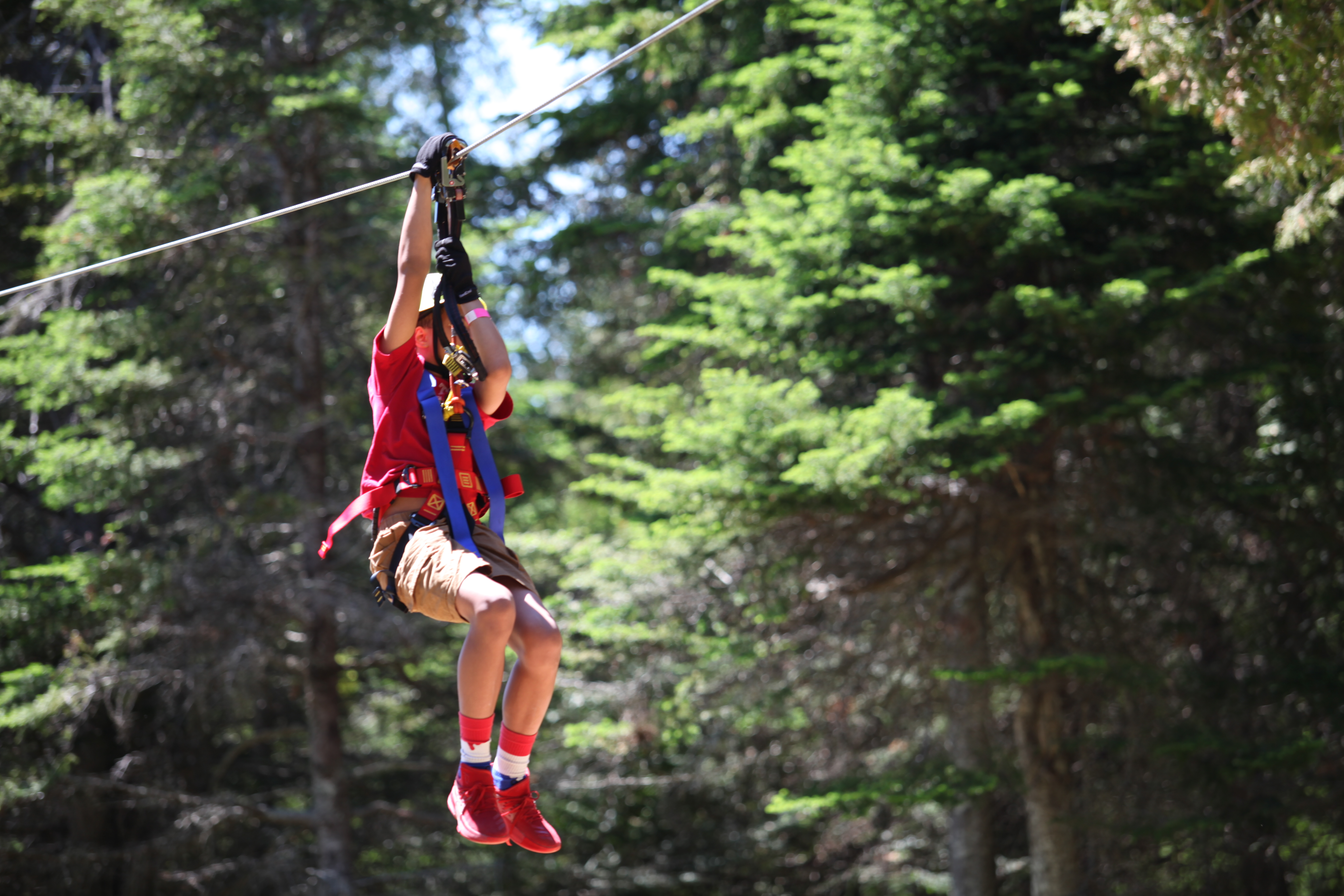 5 Reasons why you should spend your summer in the trees!