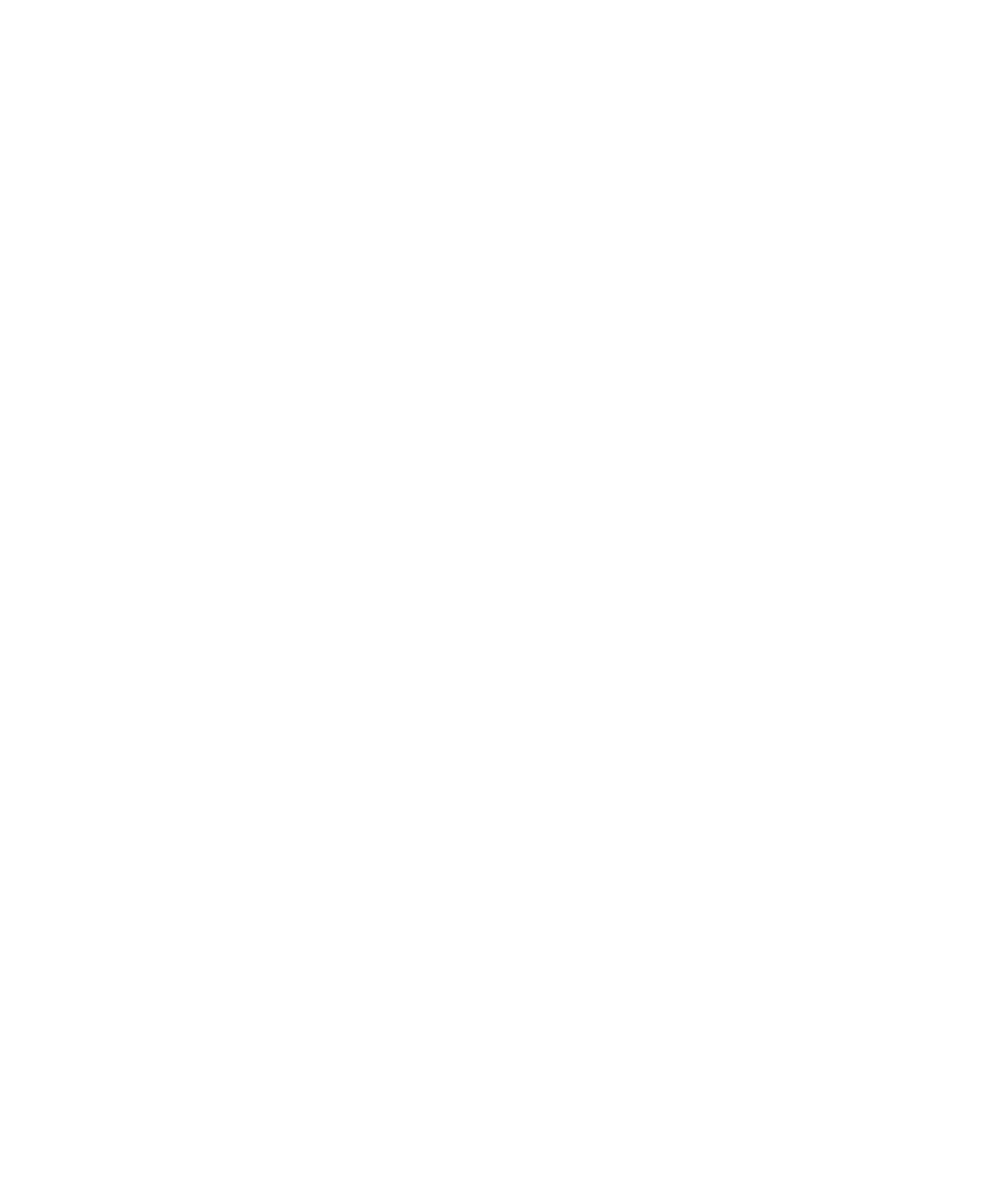 2021 Travellers Choice award